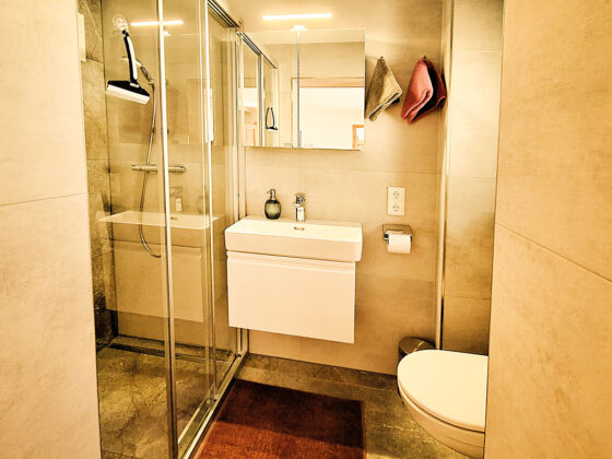 Ferienwohnung in Altenmarkt, Salzburger Land, Typ 1