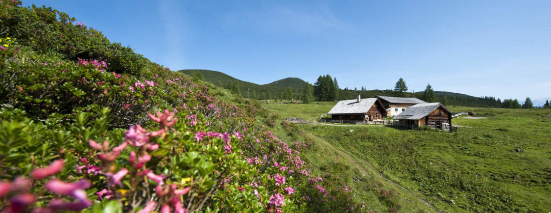 Sommerurlaub in Altenmarkt - Zauchensee / Haus Radlmacher